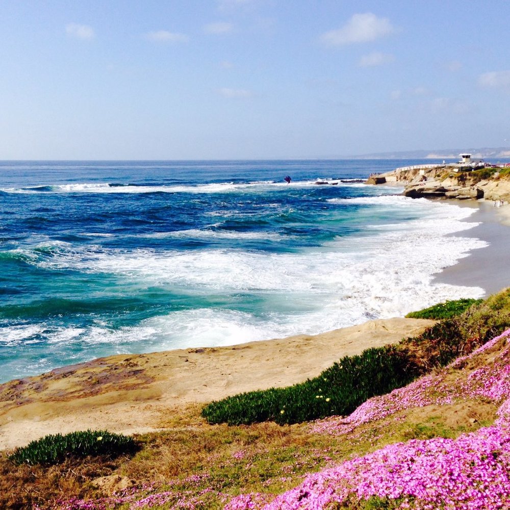 Meet your Posher, Jean